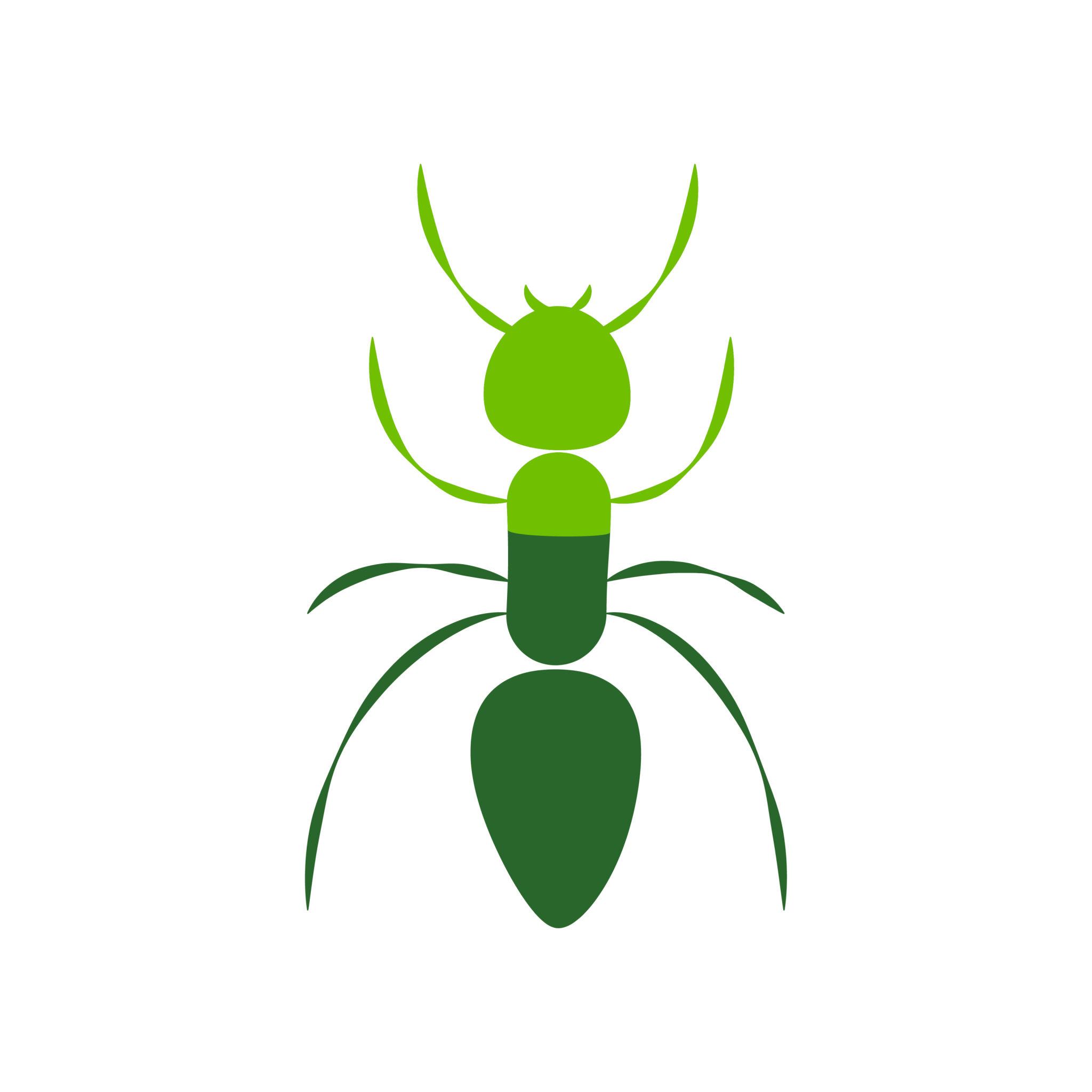 Ant Control